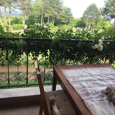 Koti Mountain House *