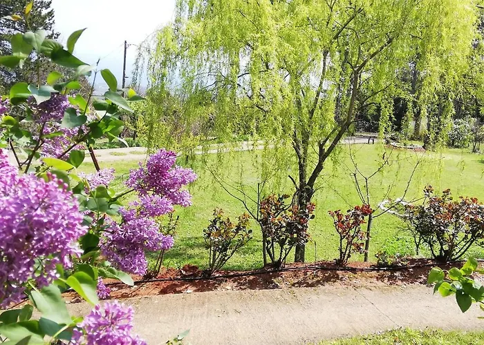 Koti Mountain House 里托楚伦