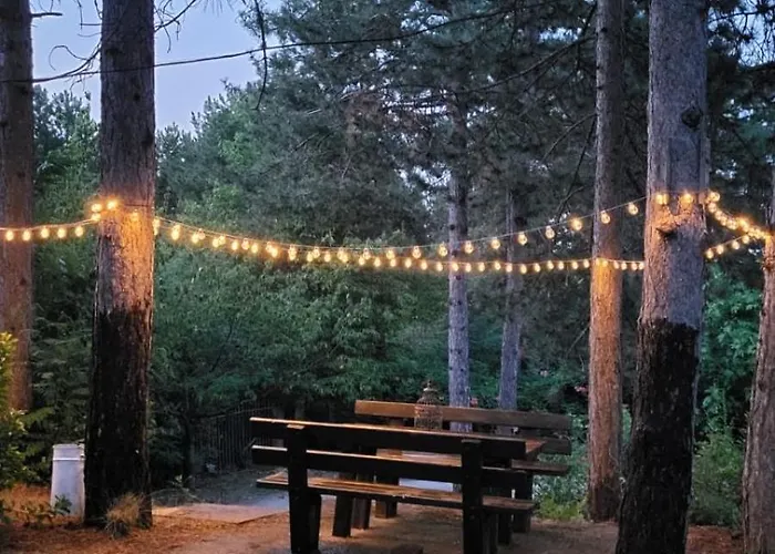 Koti Mountain House 度假居 里托楚伦