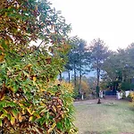 Koti Mountain House Litochoro