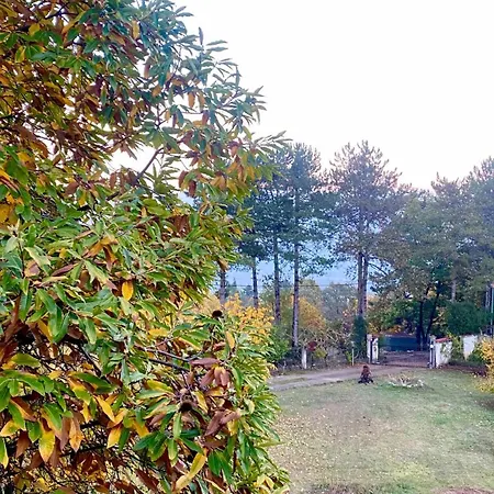 Mountain House Litochoro