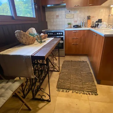 Σπίτι διακοπών Koti Mountain House Λιτόχωρο