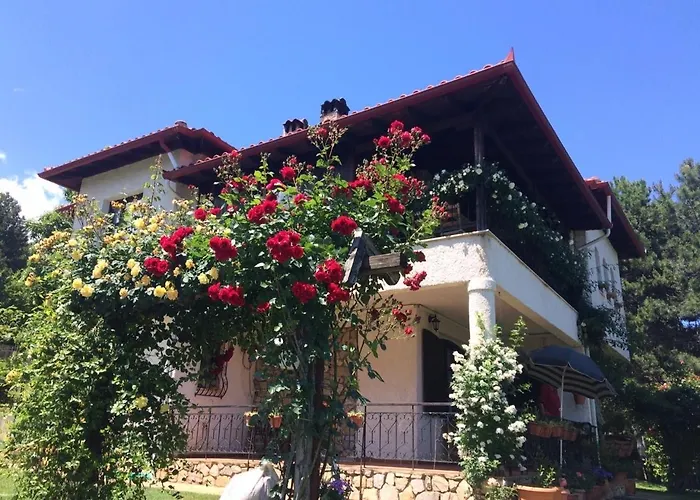 Koti Mountain House